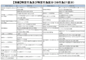 特定行為及び特定行為区分