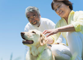 ペット　高齢化