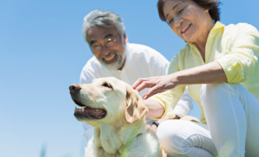 ペット　高齢化